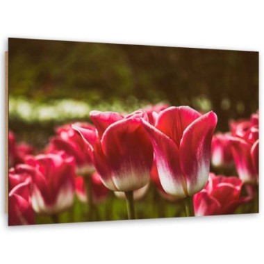 Quadro deco panel, Tulipani in fiore - 60x40