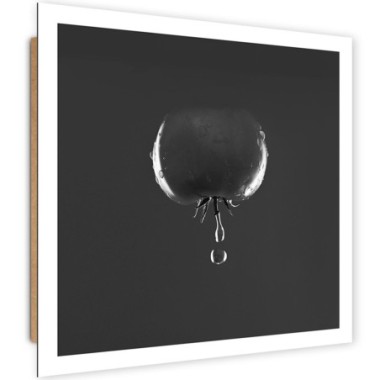 Quadro deco panel, Pomodoro e gocce d'acqua - bianco...