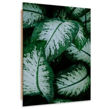Quadro deco panel, Foglie tropicali bianche e verdi...