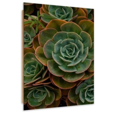 Quadro deco panel, Fiore verde succulento - 40x60