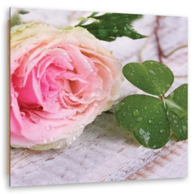 Quadro deco panel, Rosa e trifoglio - 50x50