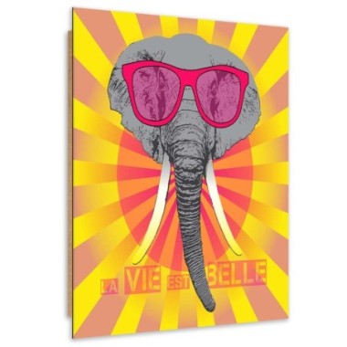 Quadro deco panel, Elefante con occhiali - 40x60