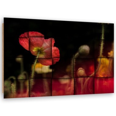 Quadro deco panel, Fiore di papavero rosso - 60x40