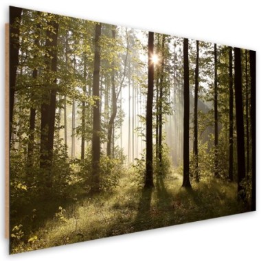 Quadro deco panel, Mattina nella foresta - 60x40