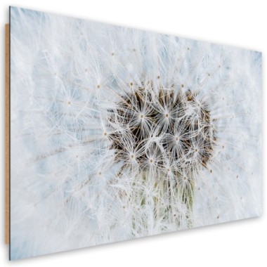 Quadro deco panel, Dandelion di fiori bianchi - 60x40