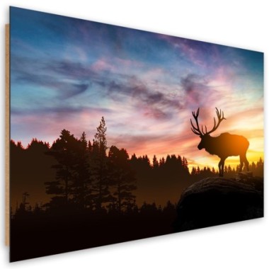 Quadro deco panel, Deer al tramonto - 60x40
