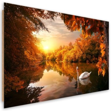 Quadro deco panel, Cigno sullo stagno autunno - 60x40