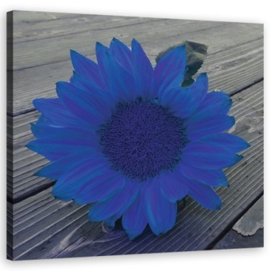 Quadro su tela, Girasole blu - 60x60