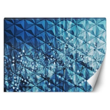 Carta Da Parati, Tarassaco 3d Gocce di rugiada -...