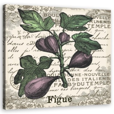 Quadro su tela, Fichi vintage - 60x60