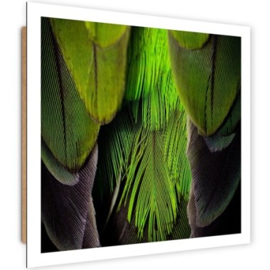 Quadro deco panel, Piume color lime - 60x60