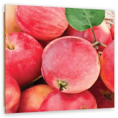 Quadro deco panel, Macro Apple - 60x60