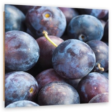 Quadro deco panel, Macro prugna - 60x60