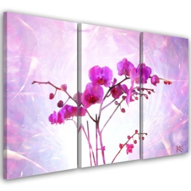 Quadro su tela 3 paneli, Orchidea essenziale - 60x40