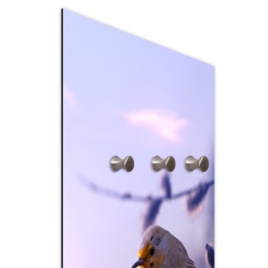 Appendiabiti, Uccello su un ramo - 25x70
