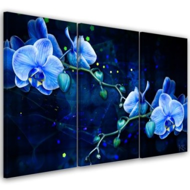 Quadro su tela 3 paneli, Fiore di orchidea blu - 60x40