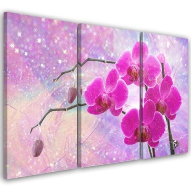 Quadro su tela 3 paneli, Astrazione orchidea...