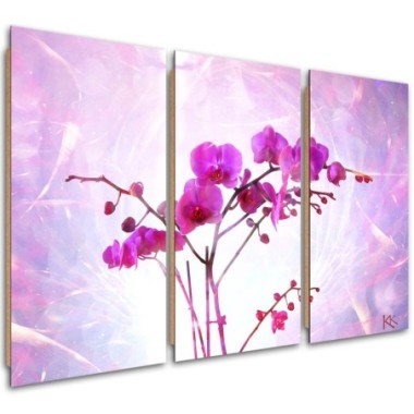 Quadro deco panel 3 paneli, Orchidea essenziale - 60x40