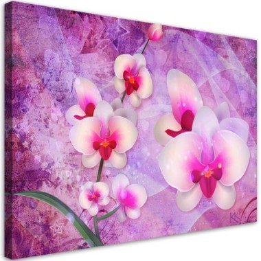 Quadro su tela, Astrazione dei fiori di orchidea -...