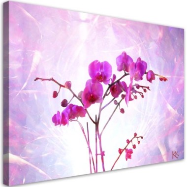 Quadro su tela, Orchidea essenziale - 90x60