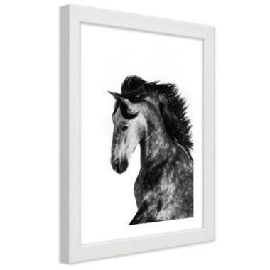 Quadro con cornice, Cavallo selvaggio - 60x90