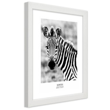 Quadro con cornice, Una zebra curiosa - 60x90