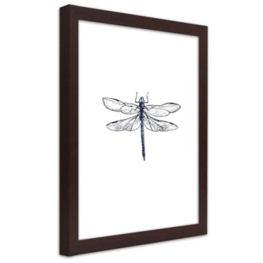 Quadro con cornice, Libellula disegnata - 60x90