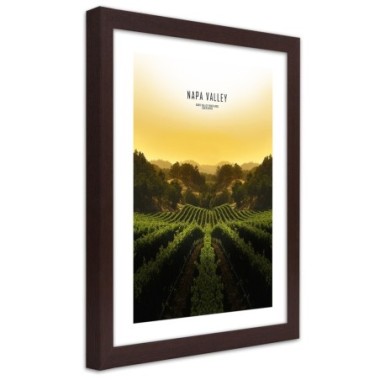 Quadro con cornice, Vigneti nella Napa Vallley - 60x90