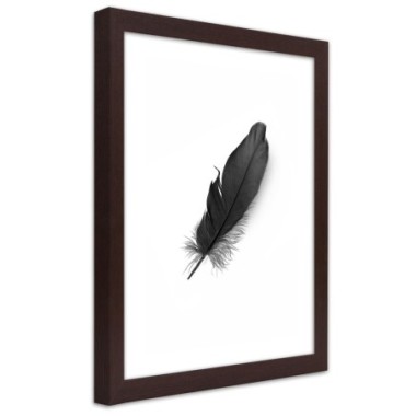 Quadro con cornice, Piuma nera - 60x90