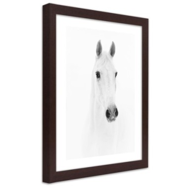Quadro con cornice, Cavallo grigio - 60x90