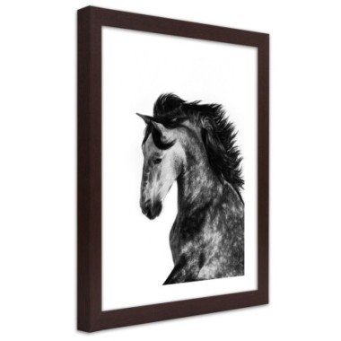 Quadro con cornice, Cavallo selvaggio - 60x90