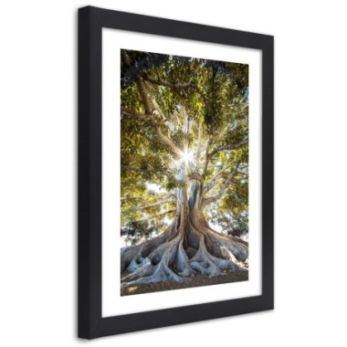 Quadro con cornice, Grande albero esotico - 60x90