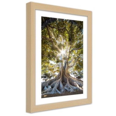 Quadro con cornice, Grande albero esotico - 60x90