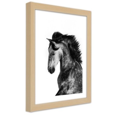 Quadro con cornice, Cavallo selvaggio - 60x90