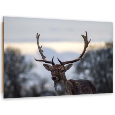 Quadro deco panel, Cervo - 90x60