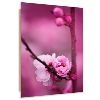 Quadro deco panel, Fiore rosa e boccioli su un ramo...