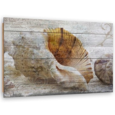 Quadro deco panel, Conchiglie in stile vintage - 90x60
