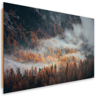 Quadro deco panel, Foresta nella nebbia - 90x60