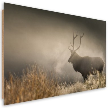 Quadro deco panel, JeleÅ„ nella natura nebbia - 90x60