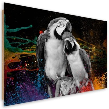 Quadro deco panel, Astrazione di pappagalli colorati...