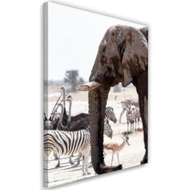 Stampa su tela, Animali della savana - elefanti...