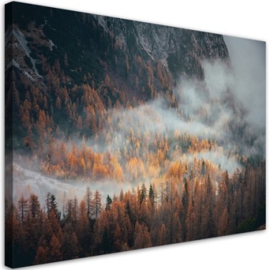 Quadro su tela, Foresta nella nebbia - 90x60