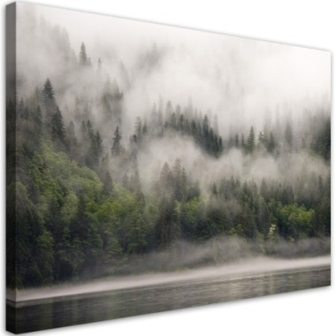 Quadro su tela, Foresta nella nebbia - 90x60