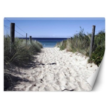 Carta Da Parati, Via per la spiaggia - 200x140