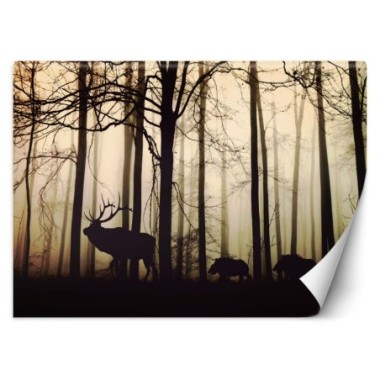 Carta Da Parati, Animali nella foresta - 200x140