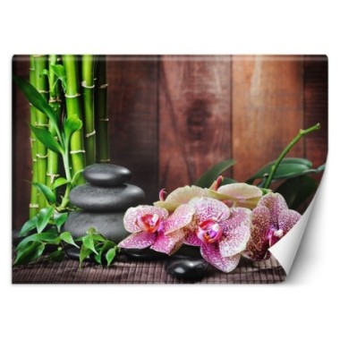 Carta Da Parati, Orchidea con bambÃ¹ - 200x140