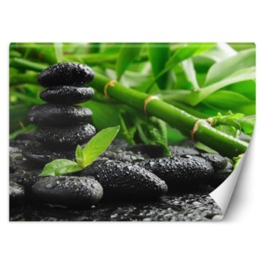 Carta Da Parati, Pietre Zen di BambÃ¹ - 200x140