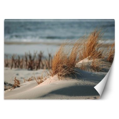 Carta Da Parati, Spiaggia mare dune paesaggio - 200x140