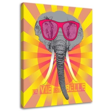 Quadro su tela, Elefante colorato con occhiali - 70x100