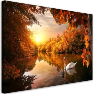 Quadro su tela, Cigno sullo stagno autunno - 100x70